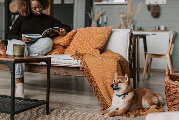 Pet Care Plans