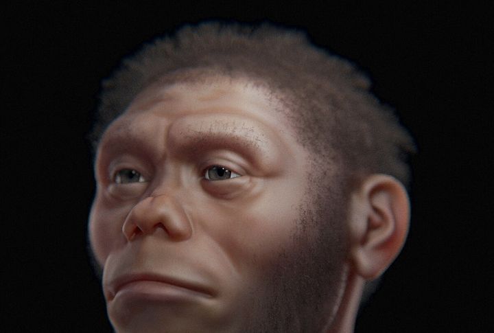 Homo Floresiensis