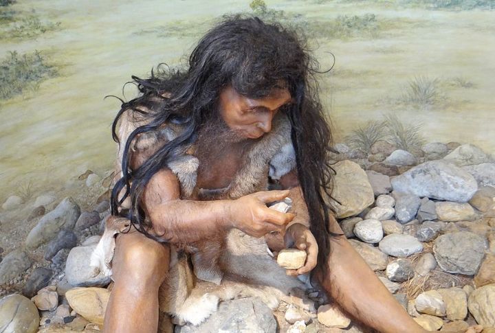 Homo Heidelbergensis