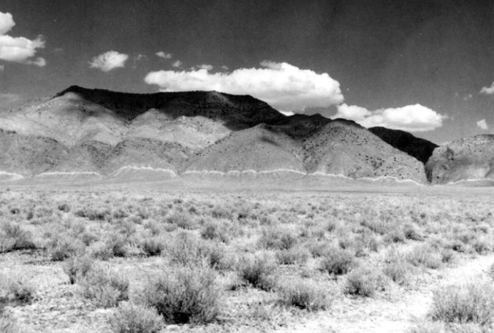 Wildfire And Earthquake Risks Do Exist