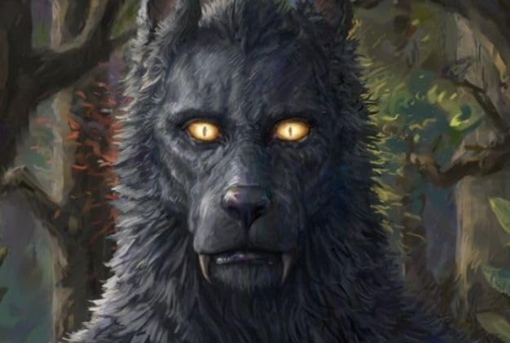 Dogman (Shunka Warakin)