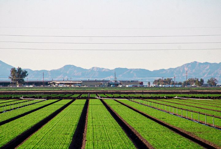 The Canal Was Built To Irrigate California’s Desert